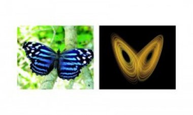 The Butterfly Effect