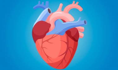 হৃদরোগীদের জন্য