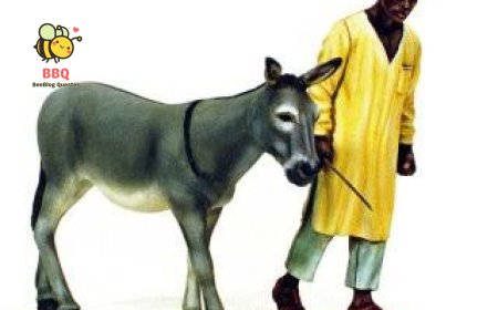 নিজের ইচ্ছা।