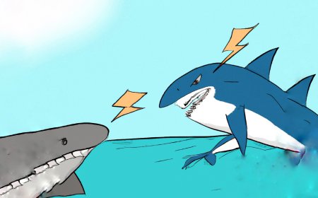 হাঙর কেন ডলফিনকে ভয় পায়?