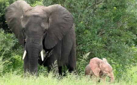 দৃষ্টিভঙ্গি