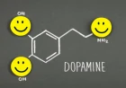 আপনার ডোপামিন নিয়ন্ত্রন করুন!