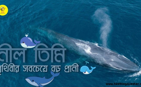 নীল তিমিঃ পৃথিবীর সবচেয়ে বড় প্রানী