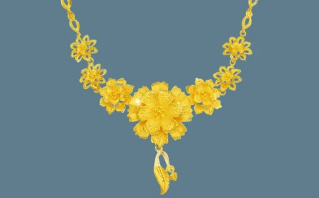 জ্ঞান ছাড়া মন্তব্য করা মুর্খামি!