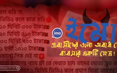 ইমো: প্রবাসীদের জন্য অবাধ দেহব্যবসার একটি ক্ষেত্র!