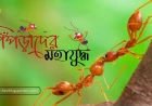 পিঁপড়াদের মহাযুদ্ধ!