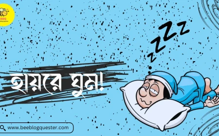 হায়রে ঘুম!