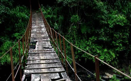 বিশ্বের কিছু ভয়ঙ্কর সেতু!